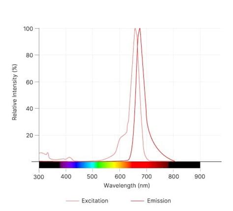 taxol janelia fluor 646|Janelia Fluor® 646, SE (CAS 1811539.